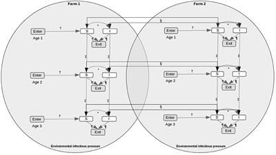 Data-Driven Network Modeling as a Framework to Evaluate the Transmission of Piscine Myocarditis Virus (PMCV) in the Irish Farmed Atlantic Salmon Population and the Impact of Different Mitigation Measures